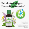 Iberogast Classic Bitkisel Damla 50 ml – Sindirim Sistemi İçin Geleneksel Bitkisel Ürün resmi